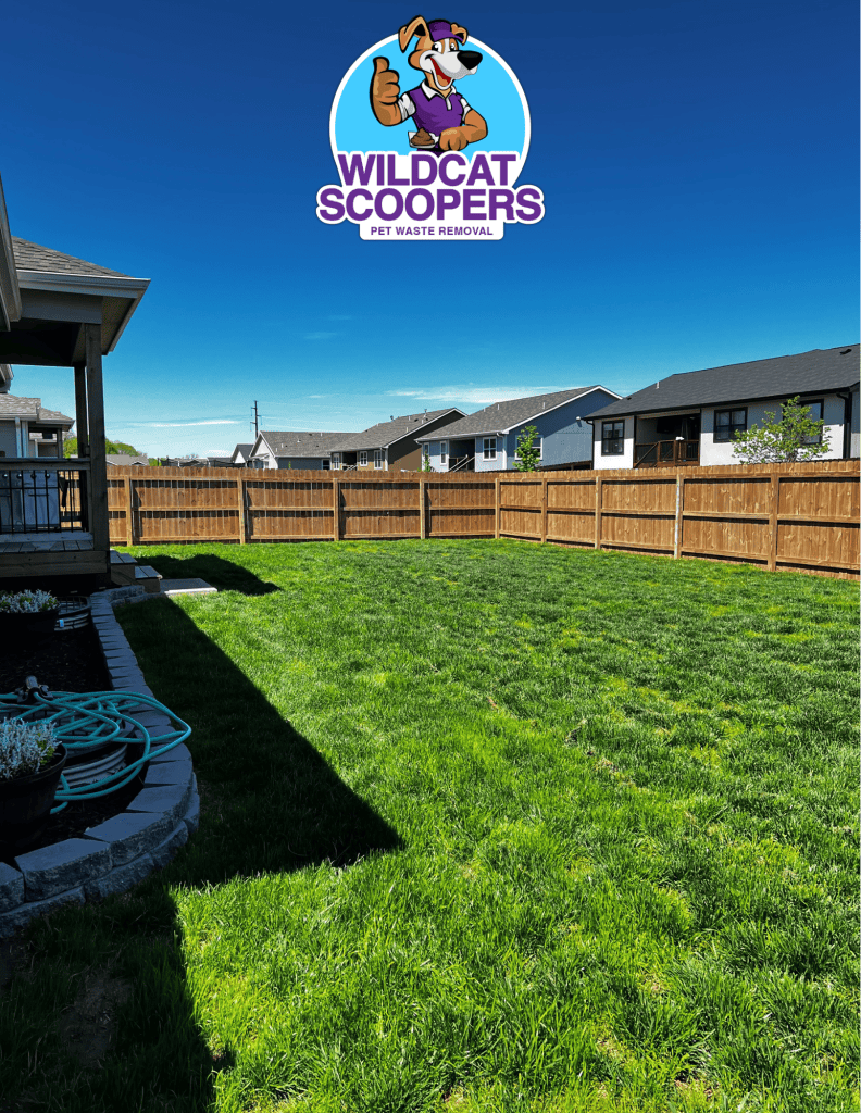 39EF3F06-E737-4F64-A9A3-32D9C94A0DA8