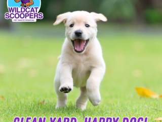 A joyful puppy running on green grass. The Wildcat Scoopers logo, featuring a cartoon cat, is in the top left corner. The text at the bottom reads, “Clean Yard, Happy Dog!” in purple letters. A joyful puppy running on green grass. The Wildcat Scoopers logo, featuring a cartoon cat, is in the top left corner. The text at the bottom reads, "Clean Yard, Happy Dog!" in purple letters.