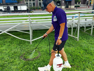 A person wearing a purple shirt, black shorts, white socks, and white shoes is using a white hand-pump sprayer to treat a patch of grass. They are standing on a green lawn with metal bleachers and buildings in the background. A person wearing a purple shirt, black shorts, white socks, and white shoes is using a white hand-pump sprayer to treat a patch of grass. They are standing on a green lawn with metal bleachers and buildings in the background.