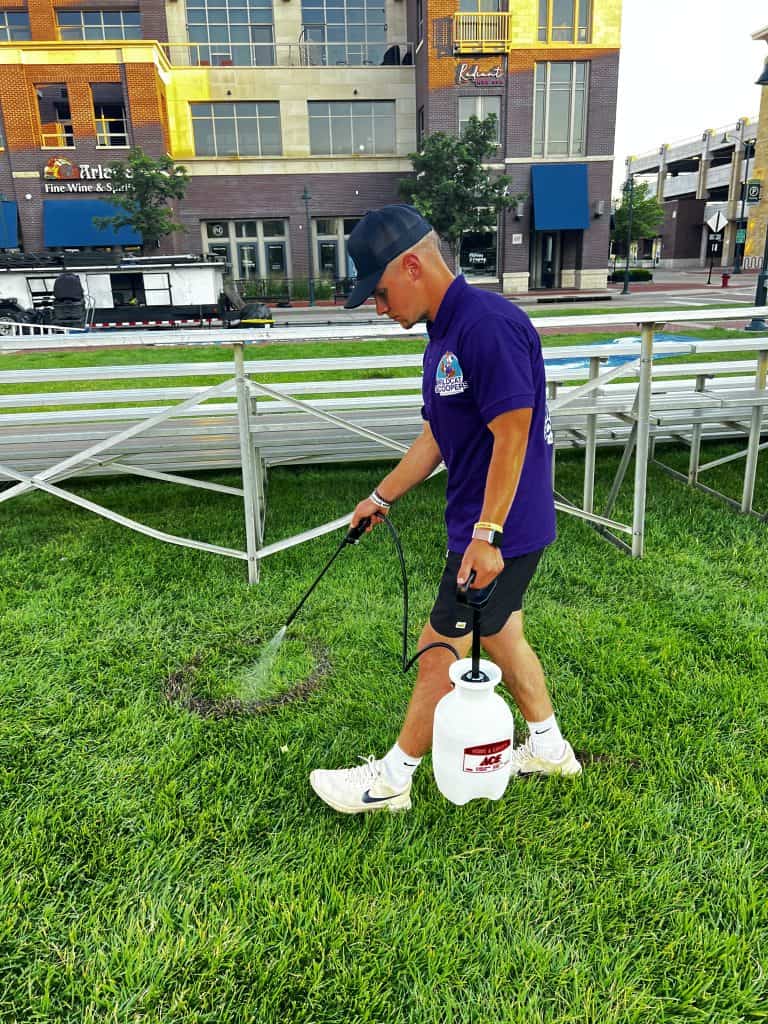 A person wearing a purple shirt, black shorts, white socks, and white shoes is using a white hand-pump sprayer to treat a patch of grass. They are standing on a green lawn with metal bleachers and buildings in the background. A person wearing a purple shirt, black shorts, white socks, and white shoes is using a white hand-pump sprayer to treat a patch of grass. They are standing on a green lawn with metal bleachers and buildings in the background.