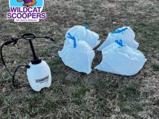 Equipment and bagged waste from a pet waste removal service, labeled wildcat scoopers, prepared for disposal on a grassy area. Equipment and bagged waste from a pet waste removal service, labeled wildcat scoopers, prepared for disposal on a grassy area.