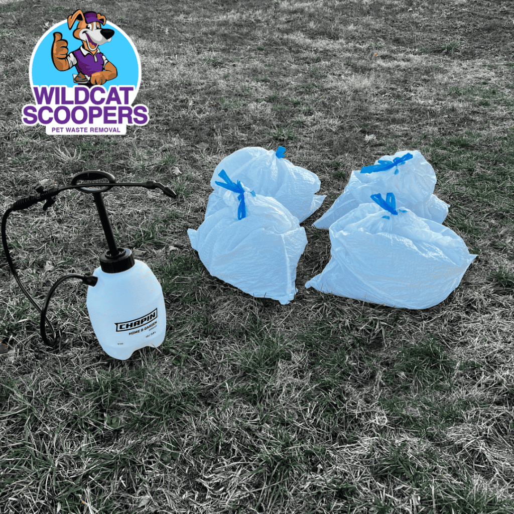 Equipment and bagged waste from a pet waste removal service, labeled wildcat scoopers, prepared for disposal on a grassy area. Equipment and bagged waste from a pet waste removal service, labeled wildcat scoopers, prepared for disposal on a grassy area.