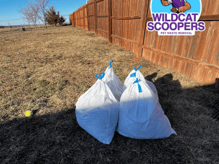 Two full white bags of collected pet waste ready for disposal, serviced by wildcat scoopers pet waste removal, with a clear blue sky and neatly mowed lawn as the backdrop. Two full white bags of collected pet waste ready for disposal, serviced by wildcat scoopers pet waste removal, with a clear blue sky and neatly mowed lawn as the backdrop.