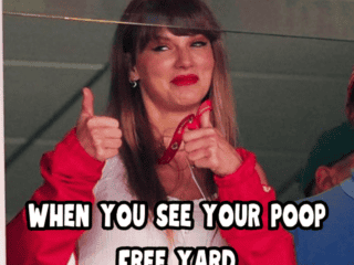 A woman with long hair and bangs gives two thumbs up with a pleased expression. She is wearing a red and white outfit and has red lipstick. The text on the image reads, “WHEN YOU SEE YOUR POOP FREE YARD. A woman with long hair and bangs gives two thumbs up with a pleased expression. She is wearing a red and white outfit and has red lipstick. The text on the image reads, "WHEN YOU SEE YOUR POOP FREE YARD.