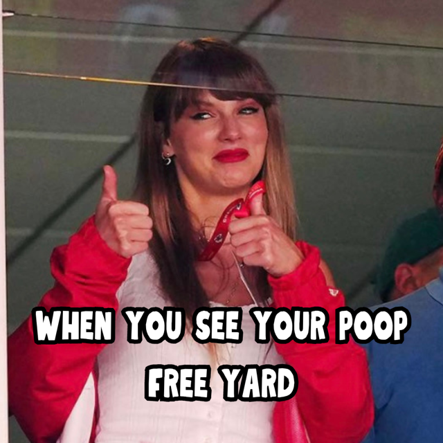 A woman with long hair and bangs gives two thumbs up with a pleased expression. She is wearing a red and white outfit and has red lipstick. The text on the image reads, “WHEN YOU SEE YOUR POOP FREE YARD. A woman with long hair and bangs gives two thumbs up with a pleased expression. She is wearing a red and white outfit and has red lipstick. The text on the image reads, "WHEN YOU SEE YOUR POOP FREE YARD.